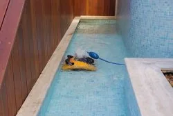 Dolphin W20 pool toy for aquatic training and fun in swimming pools.